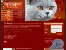 Tablet Screenshot of ambritt.com